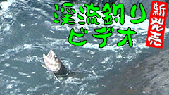 渓流釣りビデオ新発売